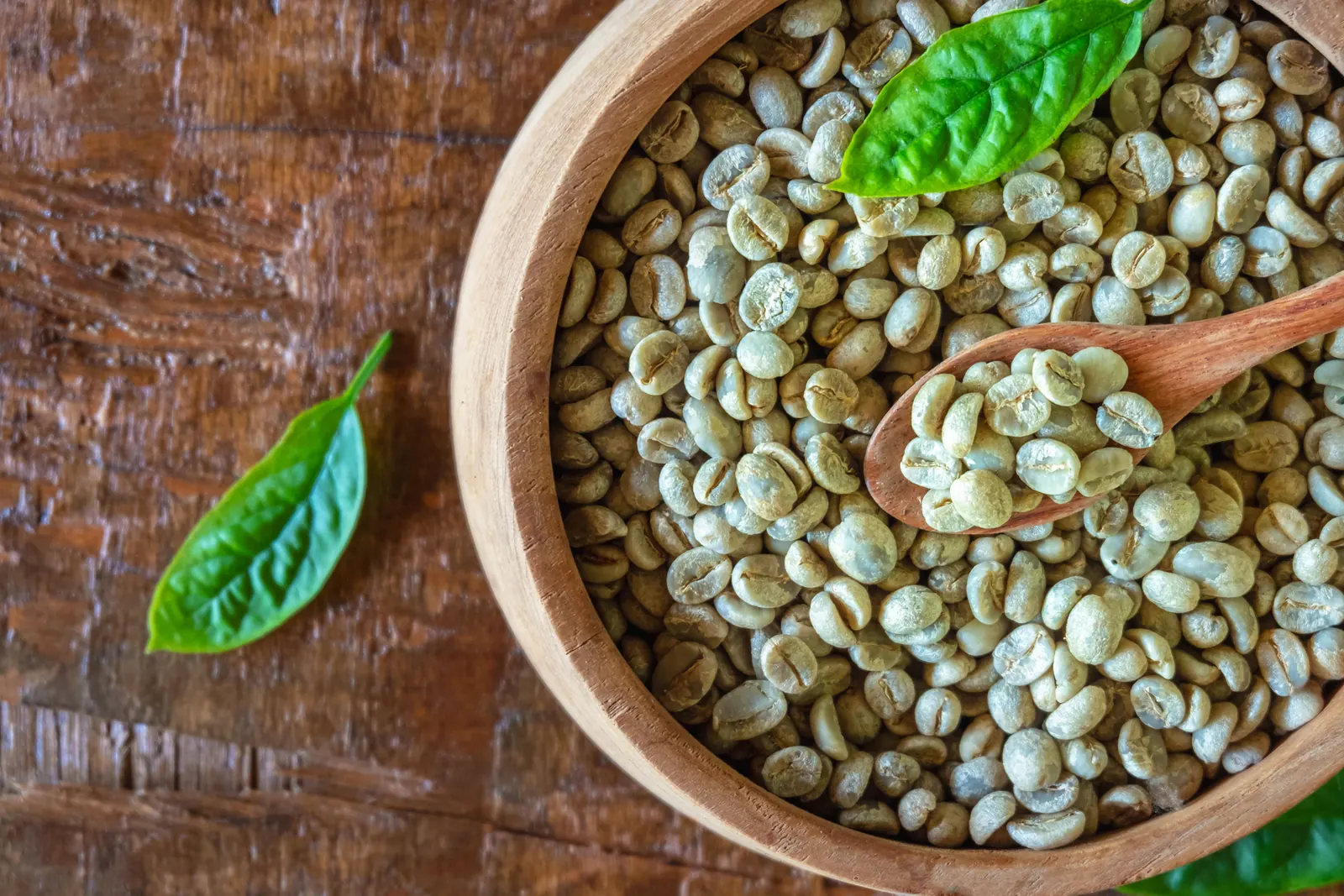 Raw green Robusta coffee beans in a wooden bowl